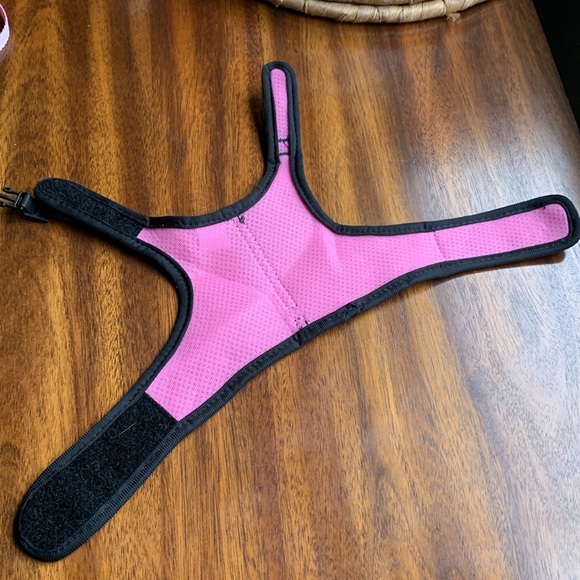 Small Animal Exotic Harness & Leash Set - Picture 3 of 3